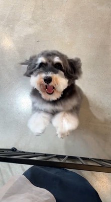 気づいた瞬間に大喜び！