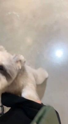 「寂しかったよーっ」