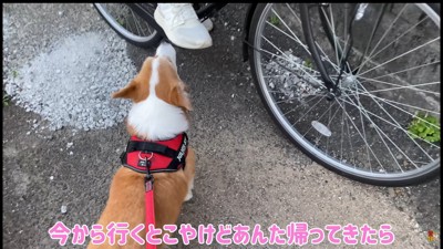 「お姉ちゃんも一緒に行こうよ～♪」
