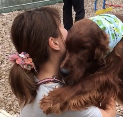 顔を寄せる犬