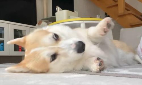 ハッ