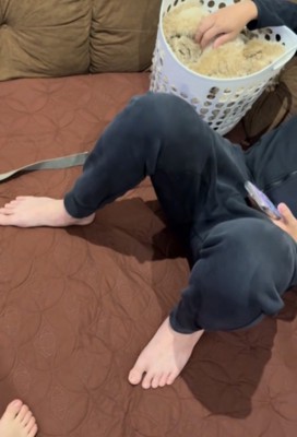 犬を撫でる人