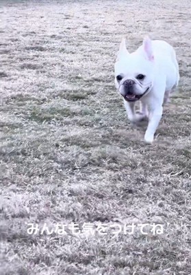 何事もなかったかのようにニコニコ♪
