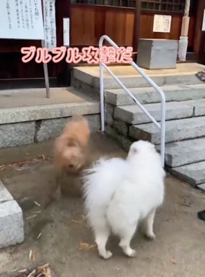 泥が飛び散ります！