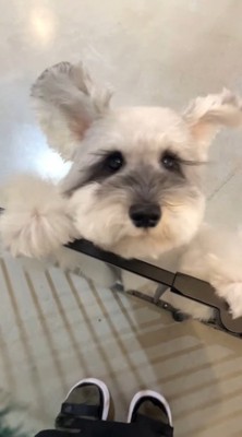 あまりにも愛おしい姿♡