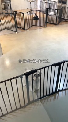 お迎えに来たら…