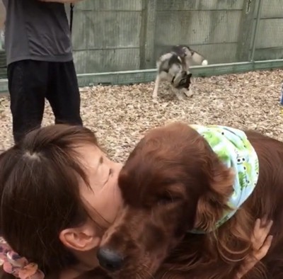 抱きついたままの犬
