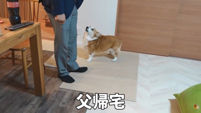 お父さんをお出迎え