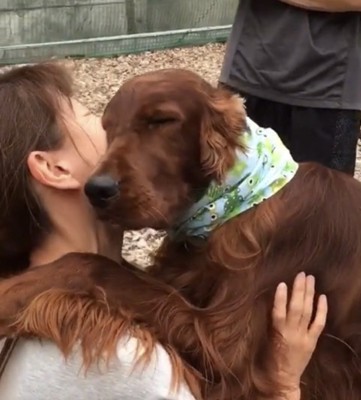 目を細める犬
