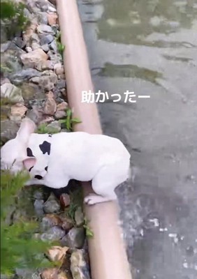 自力で脱出成功！