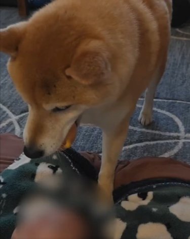 様子見