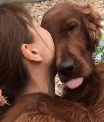 甘える犬