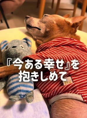 それ以上に尊いものがたくさんある！