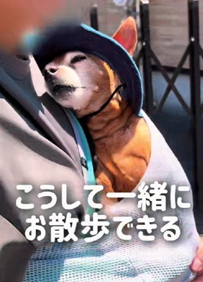 穏やかな顔を見せてくれるように