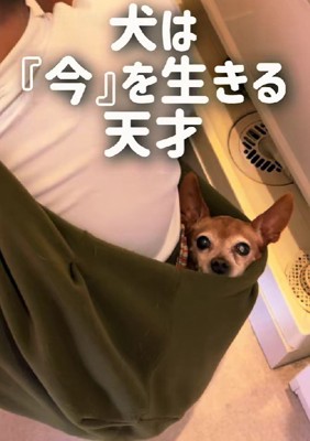 今を生きる天才