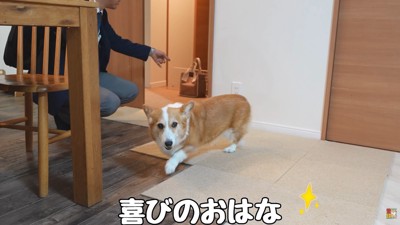 嬉しそう♪