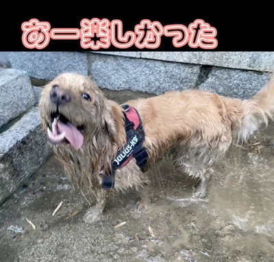 「またやりたいな」