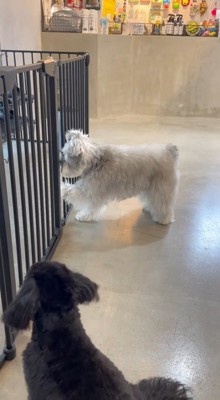 「置いて行かないで～」