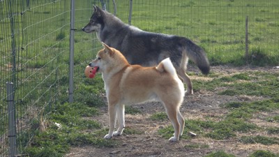 仲良し
