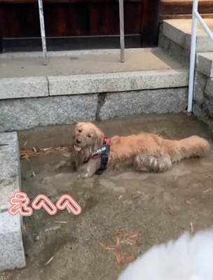 ずーっと楽しそう