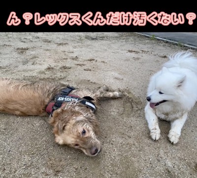 お友達は綺麗なまま