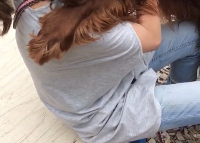 人に抱きつく犬