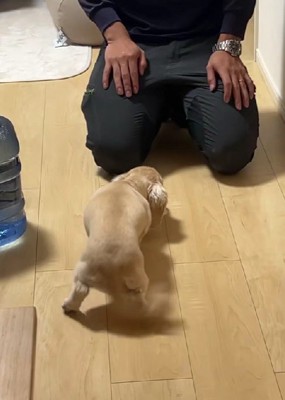 パパへの愛を隠せない