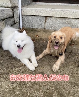「たのしいよ」