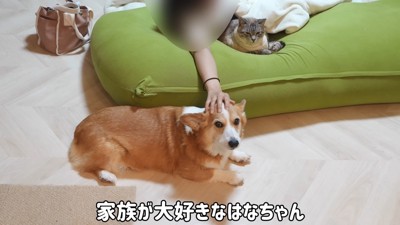 家族といるのが1番幸せ♡