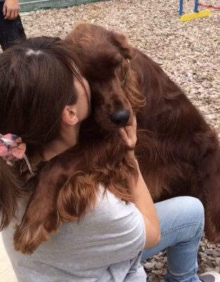 ぴったり寄り添う犬