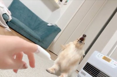 まさかの