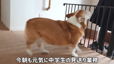 お姉ちゃんをお見送り