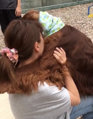 首元に顔をうずめる犬