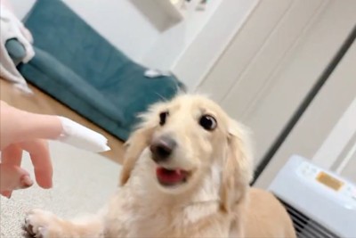 ハムッ