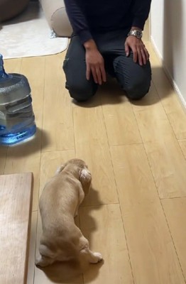 「ごめんなさい…」