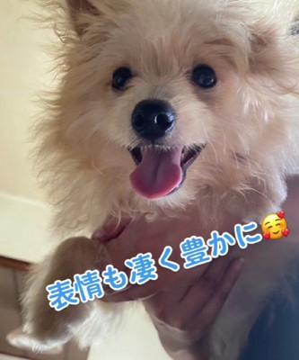 みるみる表情が豊かに…