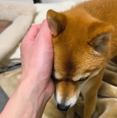 待って