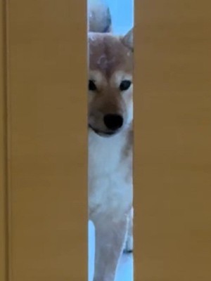 仕事をやめたくなっちゃった！？