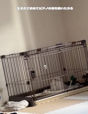 知らない音が響いてる…