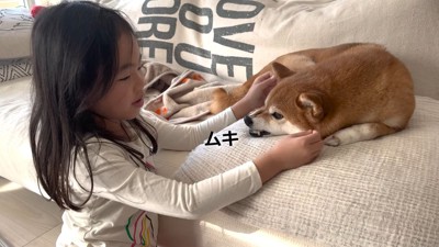 花子ちゃんはツンツンした態度