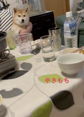 止まらない不満！