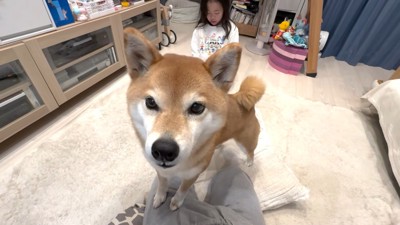 「やめてあげて!」
