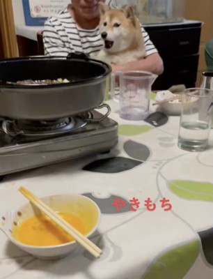 いつもはそっけないけれど…