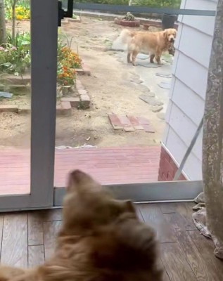 「気は変わった…？」