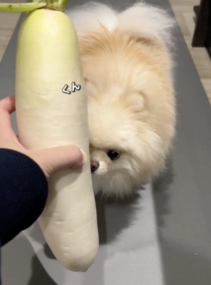 現在も、初めてのものに興味津々