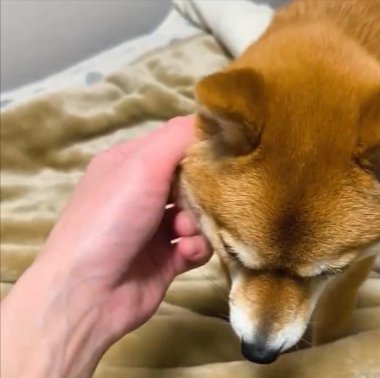 撫でて