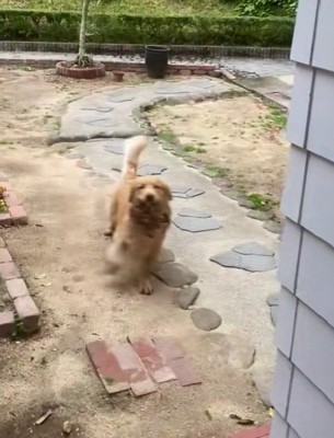 「許可が出た！」