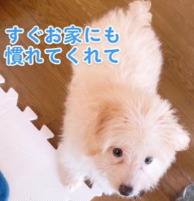 少しずつ慣れてきた