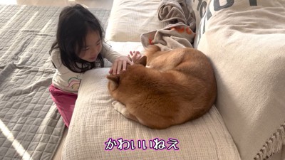 女の子は花子ちゃんが大好き♡
