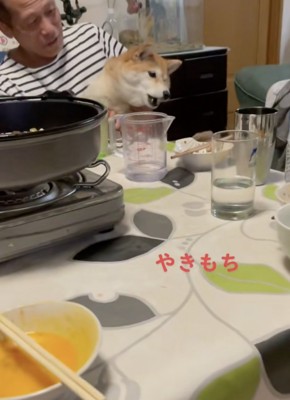 だんだんと悲しげな声に…